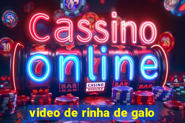 video de rinha de galo